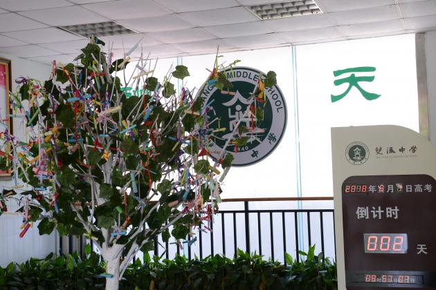 高三許愿樹