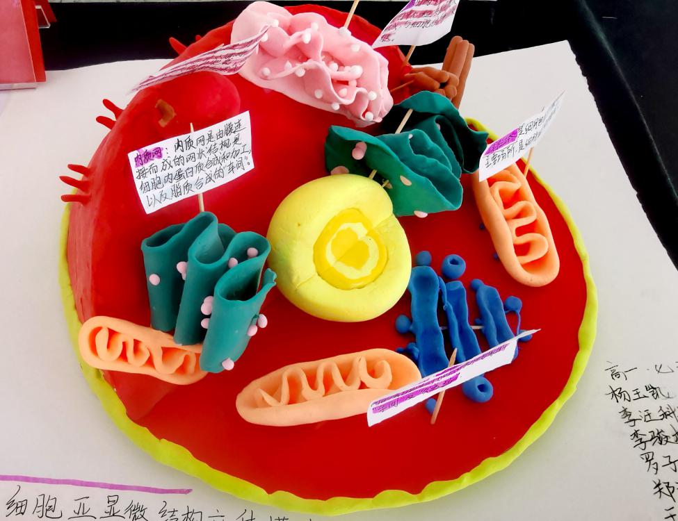 “花開富貴”小組作品